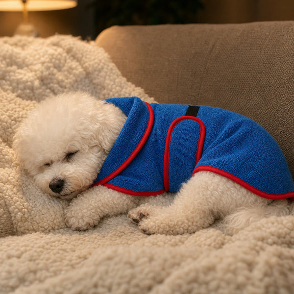 Small dog napping in the bathrobe