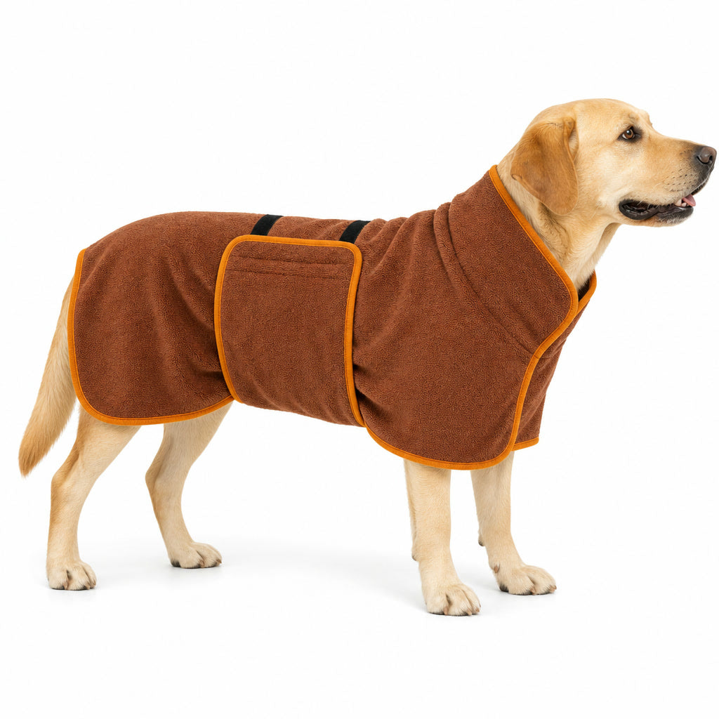 Cocoa brown dog bathrobe with orange trim on a Labrador