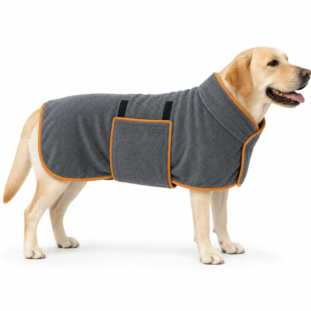 Stone gray dog bathrobe with orange trim on a Labrador