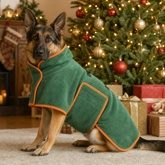 Dog wearing the bathrobe by the Christmas tree